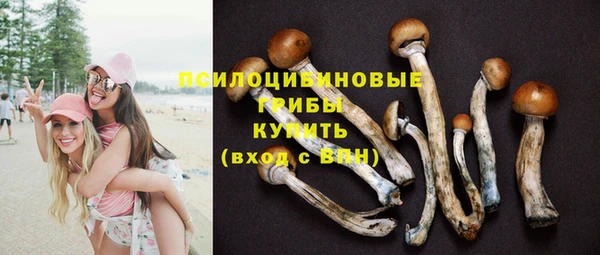 крисы Навашино