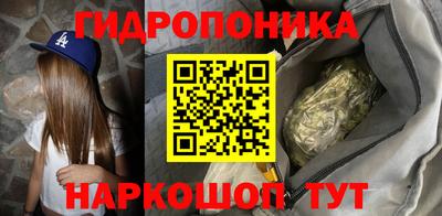 бошки Бердск